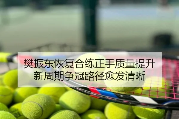 樊振东恢复合练正手质量提升 新周期争冠路径愈发清晰